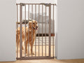 Savic Dog Barrier Afsluithek Grijs