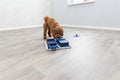 Trixie Dog Activity Poker Box 1