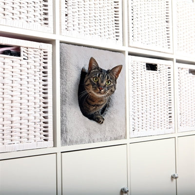 Trixie Kattenmand Kubus Lichtgrijs
