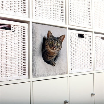 Trixie Kattenmand Kubus Lichtgrijs