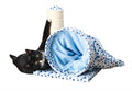 Trixie Krabpaal Callisto Blauw
