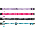 Trixie Halsband Kat Print Poot Elastisch Assorti