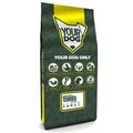 Yourdog Glen Of Imaal Terriër Volwassen