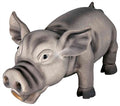 Trixie Latex / Polyestervlies Varken Met Dierengeluid  Assorti