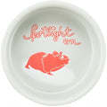 Trixie Voerbak / Waterbak Keramiek Spotlight Hamster Assorti