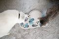 Nina Ottosson Puzzle & Play Rainy Day