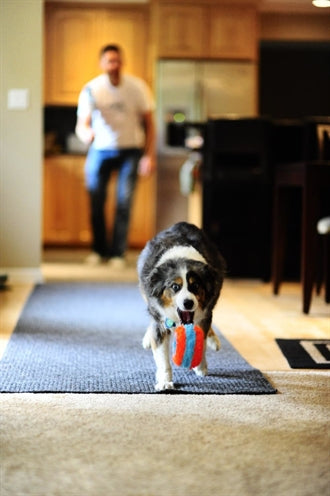 Chuckit Indoor Roller