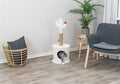 Trixie Kattenmand Ton Met Krabpaal Cactus Creme