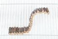 Trixie Hangbrug Met Schroefbevestiging Schorshout Naturel Voor Muizen