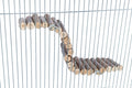 Trixie Hangbrug Met Schroefbevestiging Schorshout Naturel Voor Muizen