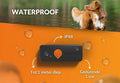 Weenect Tracker Hond Zwart