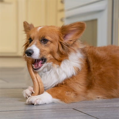 Petstages Dogwood Flip & Chew