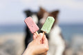 Trixie Ice Pop Rood