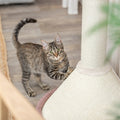 Trixie Krabpaal Viviana Rond Oudroze