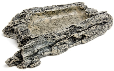 Komodo Voerbak Habitat Rock